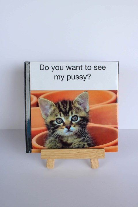 Do you want to see my pussy? Book