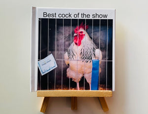 Best Cock of the Show