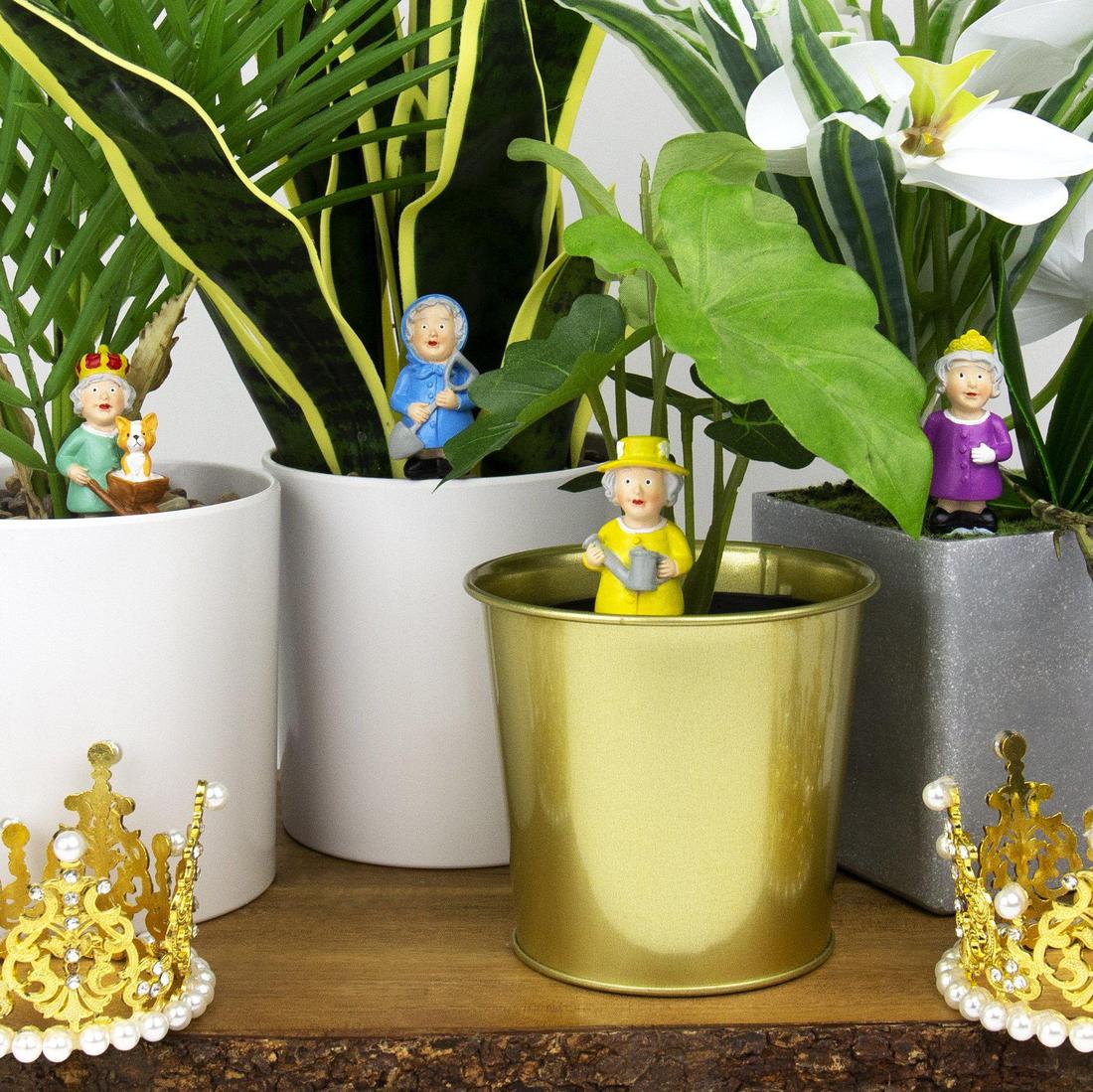 mini plant pot royal gardeners Mini Plant Pot