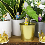 Mini Plant Pot - Royal Gardeners